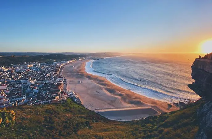 Ocean Lookout With Private Parking In The Heart Of Apartment *